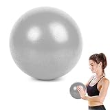 WELLXUNKPelota Ejercicio Pilates, Mini Pelota de Ejercicio de 25cm, Pilates Pelota Equilibrio, Deportiva Fitness Pelota de Entrenamiento Antiexplosión y Antideslizante, para Yoga (Gris-Plata)