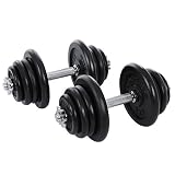 SONGMICS Juego de Mancuernas Ajustables de Hierro Fundido, 50 kg, para Hombres, Mujeres, Entrenamiento Físico, Levantamiento de Pesas, Gimnasio en Casa, Negro SYL50BS