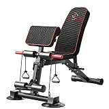 Banco de musculación Plegable y Ajustable con Mancuernas Marca Fit-Force SBL003