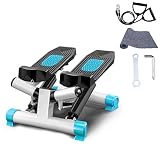 Stepper Hometrainer Stepper, Stepper Up-Down/Left - Right, Swing Stepper con Resistencia Ajustable y Computadora de Entrenamiento Lnalámbrica Máquina de Step Mini Stepper con Pantalla Multifuncional