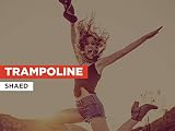 Trampoline al estilo de SHAED