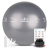 XGEAR Fitness Pelota Balón de Ejercicio Anti-explosión 55cm/65cm/75cm para Fitness Yoga Pilates Ball Estabilizador de Balón de Equilibrio Resistente con Bomba (Gris, 65cm)