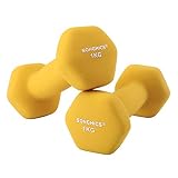SONGMICS Juego de 2 Mancuernas para Gimnasio y Entrenamiento 2 x 1 kg SYL62YL