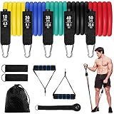 Aiglam Bandas Elasticas Musculacion 150lbs, 11PCS Set de Bandas de Resistencia , Kit de Bandas para Entrenar con Tubos, Manijas de Hule, Correas para Tobillos, Anclaje para Puerta para Fitness
