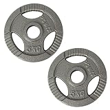 POWRX Discos olímpicos 10 kg Set (2 x 5 kg) - Pesas Ideales para Mancuernas y Barras olímpicas con diámetro 50 mm (Plata)