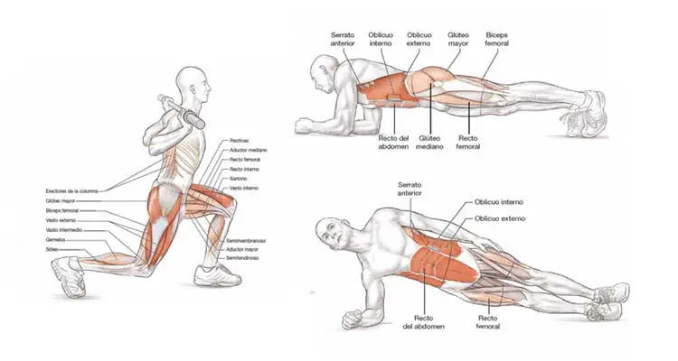 Photo of 10 ejercicios de fortalecimiento para los corredores