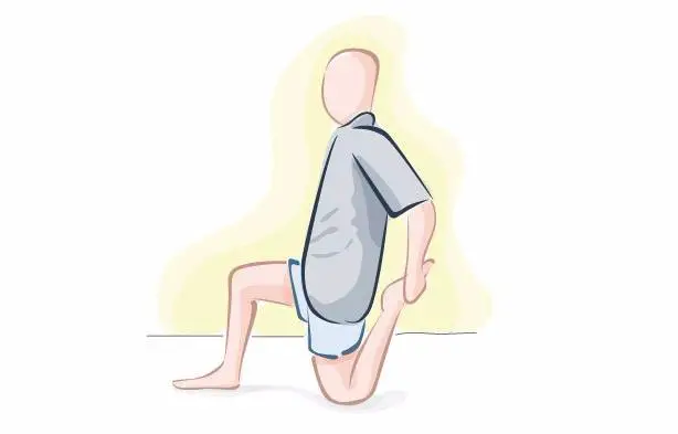 Hip flexors (front of pelvis)