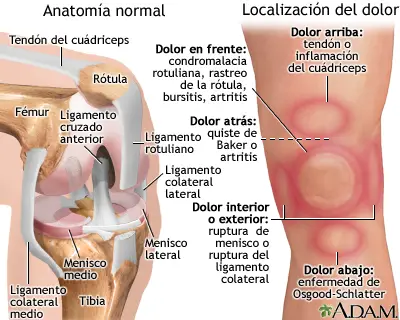 Photo of Anterior (frontal) Problemas de cadera – Causas y Tratamiento
