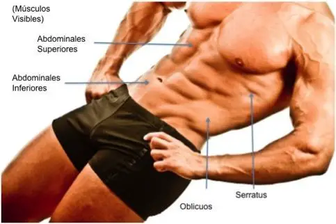 Photo of Cómo entrenar los músculos abdominales