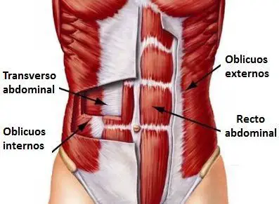 Photo of Cómo hacer que los abdominales funcionen mejor para ti apuntando a los músculos correctos