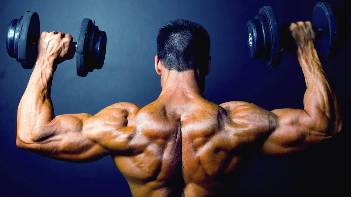 Photo of ¿Cómo se construye el tamaño de los músculos en lugar de sólo la fuerza?