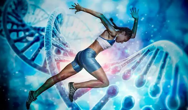 Photo of Cómo sus genes y sus entrenamientos determinan el tamaño de sus músculos