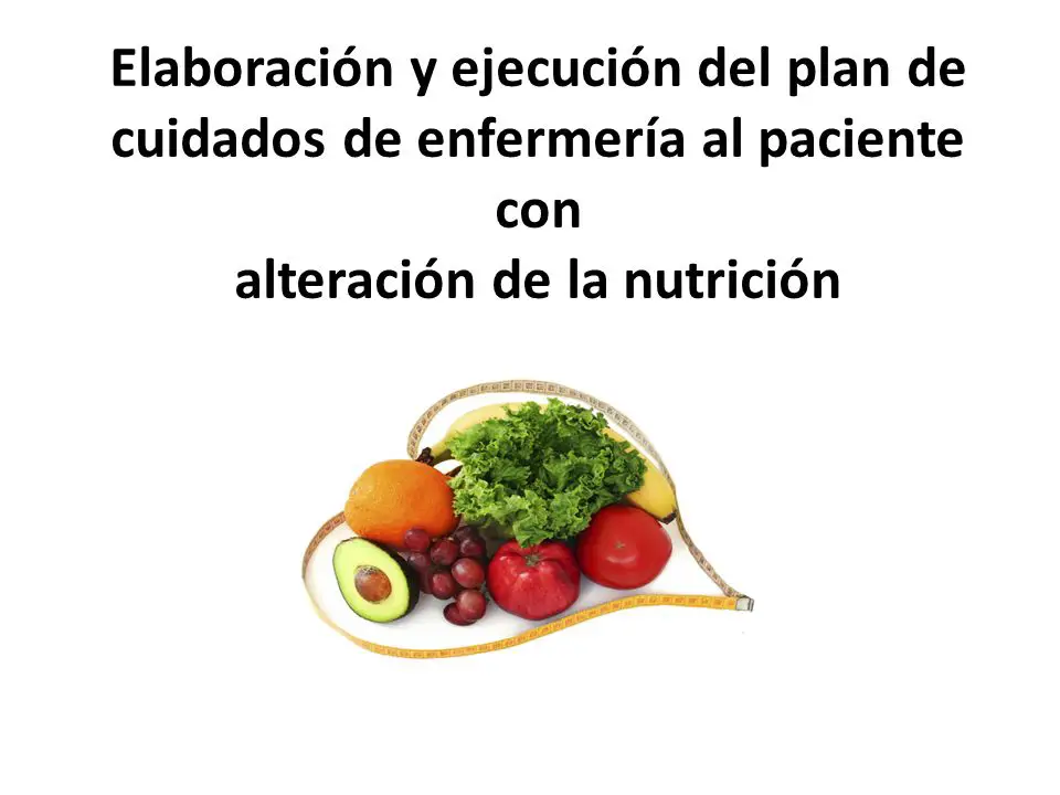 Photo of Ejecución de Nutrición FAQ
