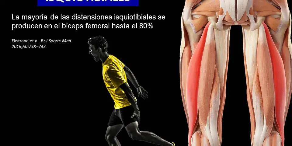 Photo of Evaluar su riesgo de lesiones para la carrera (Parte 2) – Medición de longitudes inferior de las piernas y flexibilidad
