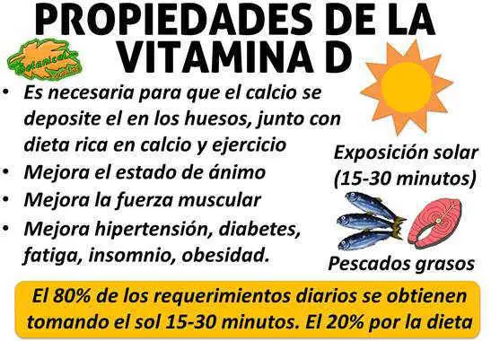 Photo of Los beneficios de la vitamina D