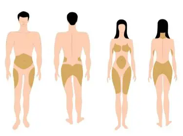 Photo of Muchas mujeres almacenan más grasa que los hombres, lo que dificulta la pérdida de peso.