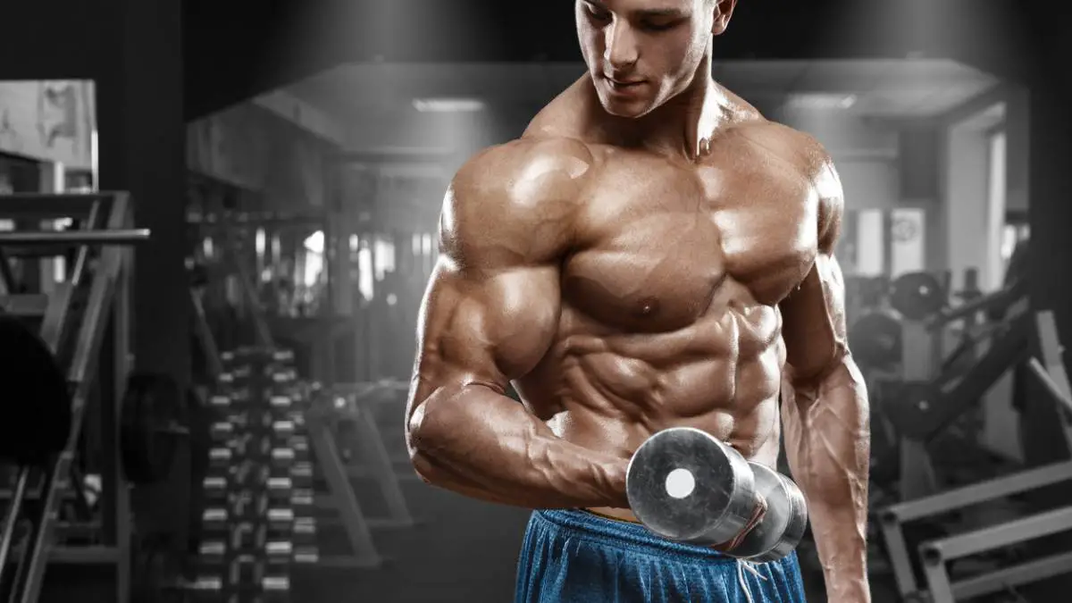 Photo of Principios generales del entrenamiento con pesas para el desarrollo de los músculos