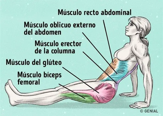 Photo of Trabaja todo el núcleo con ejercicios efectivos de abdominales