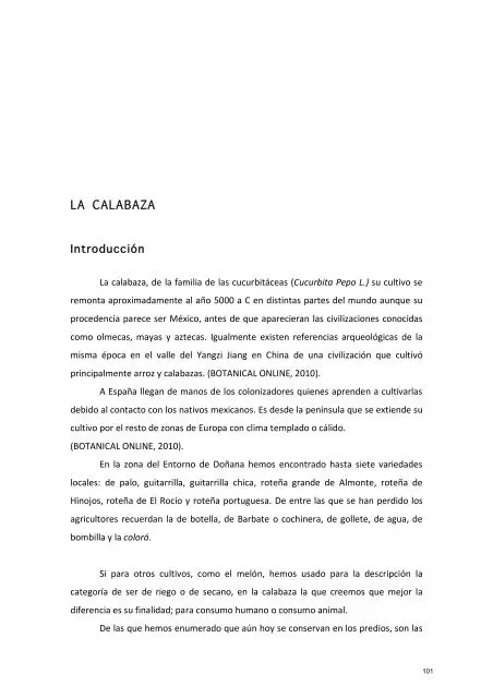 Photo of Una introducción a la calabaza