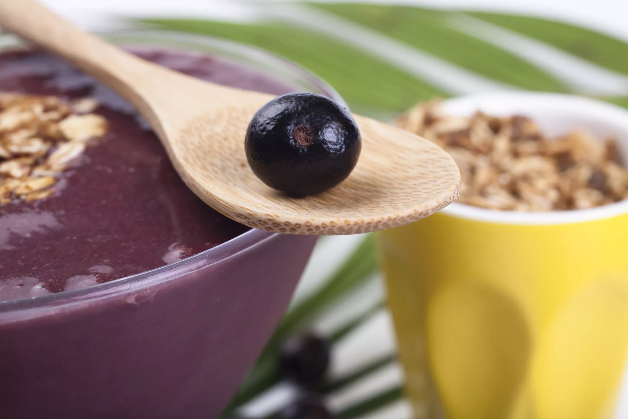 acai berry diet