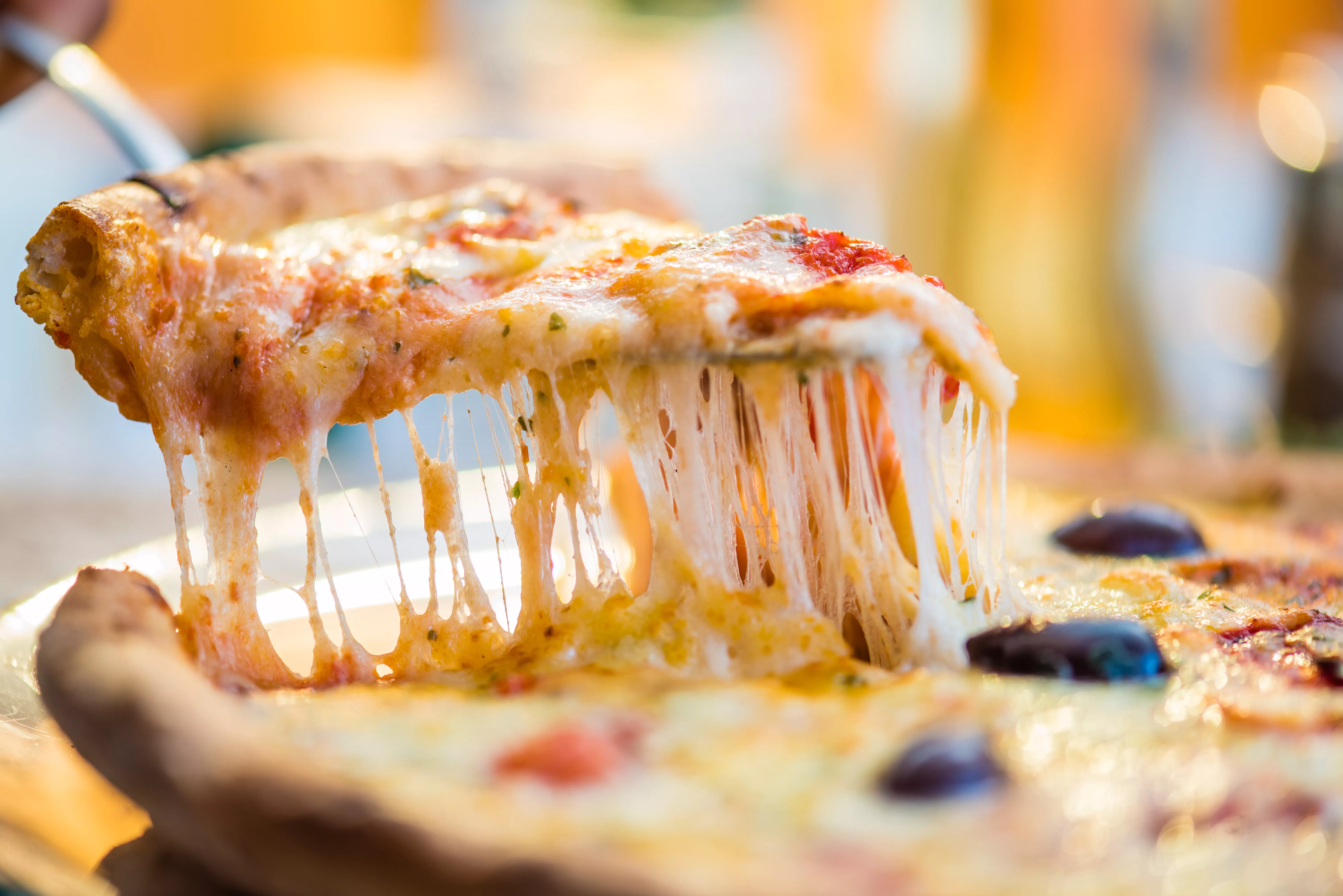 Close-up of pizza slice on spatula.