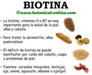 Beneficios de la biotina para la salud y usos comunes - Material de ...