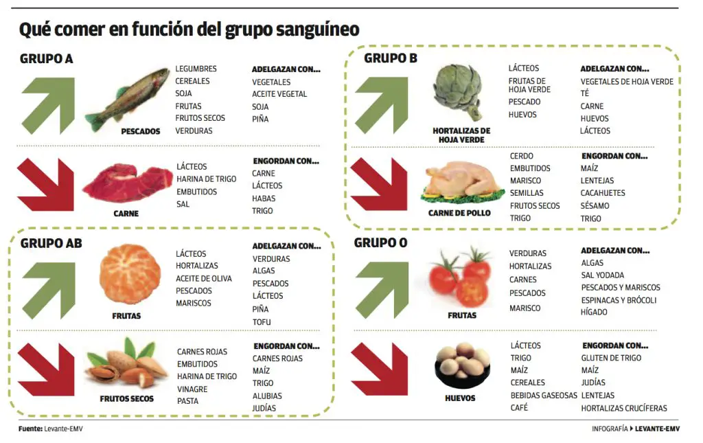 ¿Cuál Es La Dieta Del Tipo De Sangre? - Material De Deporte Barato