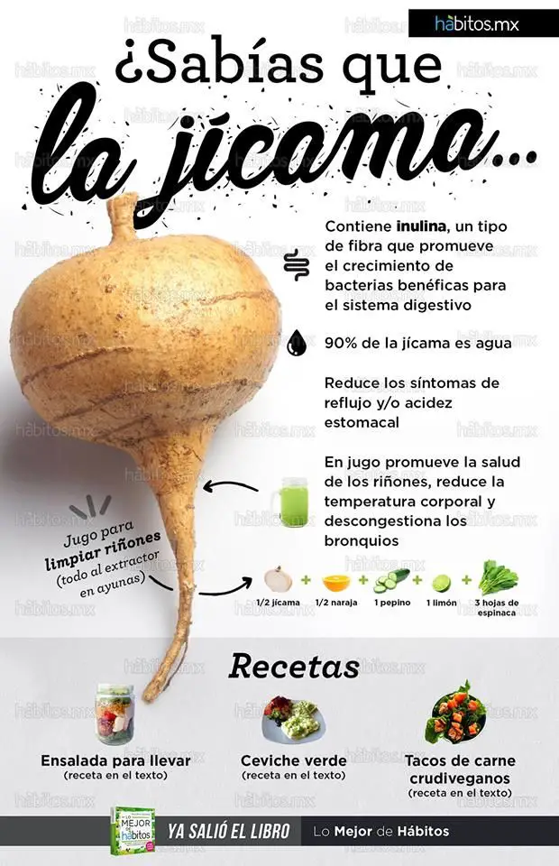 Photo of Datos de nutrición y beneficios de salud de Jicama