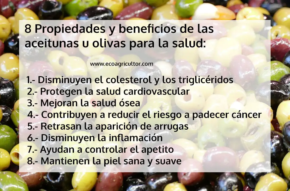 Photo of Información nutricional y beneficios para la salud de las aceitunas