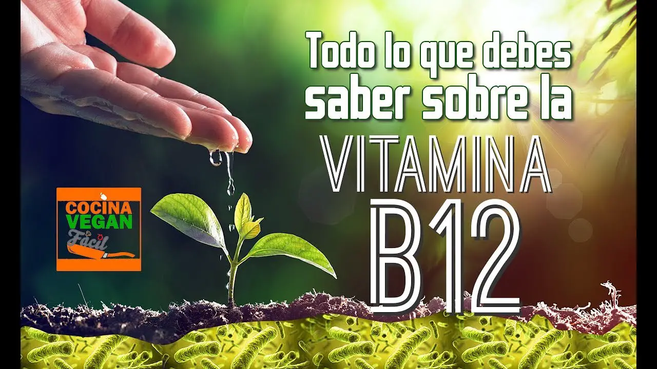 Photo of Lo que debe saber sobre la vitamina B12