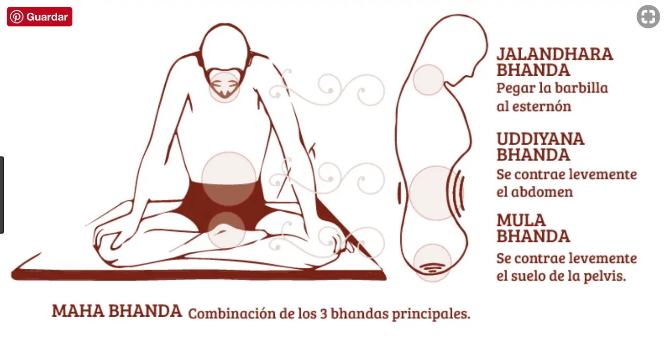 Photo of Mula Bandha es importante en el yoga pero rara vez se explica
