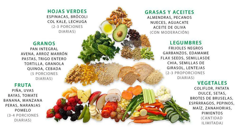 Photo of Proteínas complementarias para las dietas vegetarianas y veganas