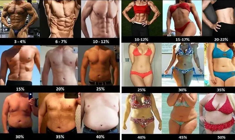 Photo of ¿Sabes cuál es tu porcentaje de grasa corporal?