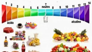 Photo of ¿Es la dieta alcalina segura para la salud?