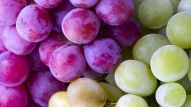 Photo of Aceite de semilla de uva: usos y beneficios para la salud