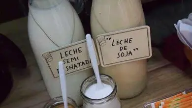 Photo of ¿Cómo saber si es intolerante a la lactosa?