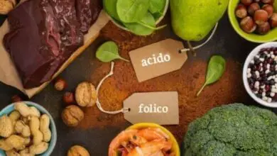 Photo of Alimentos ricos en ácido fólico y beneficios para la salud