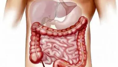 Photo of Enfermedades inflamatorias intestinales y nutrición.
