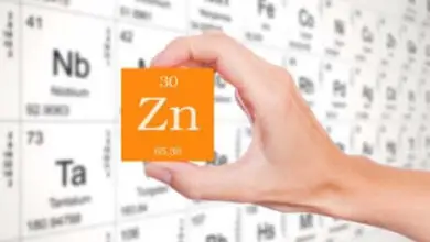 Photo of ¿Por qué es importante aumentar el zinc en la dieta?