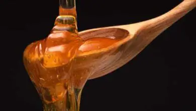 Photo of La miel es el mejor antibiótico natural según la ciencia