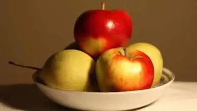 Photo of ¿Cuáles son los beneficios de comer una manzana al día?