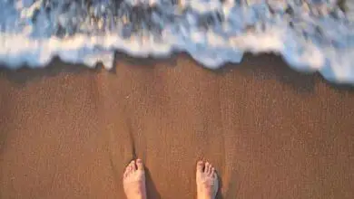 Photo of Aprende a nadar en el mar en solo unos pasos.