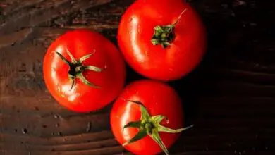 Photo of Verduras rojas: ¿por qué incluirlas en tu dieta?