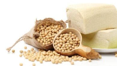 Photo of Proteínas de soja: ¿son buenas para la salud?