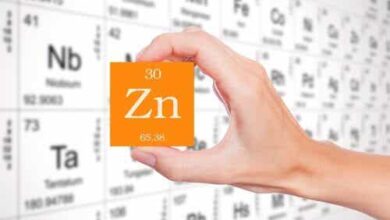 Photo of Zinc: propiedades y beneficios